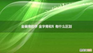 带金字旁的字有哪些？这些名字有什么寓意？