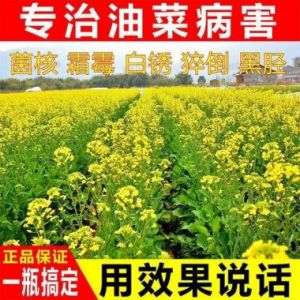 油菜菌核病的防治方法及常用药剂介绍