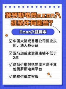 是什么平台俄罗斯电商开店资质要求详细解析