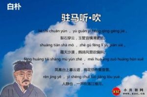 白朴是谁？他的读音是什么？