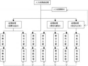 是指人力资源管理领域的某个职位吗？