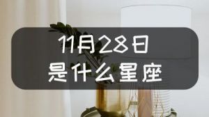 11月28日是哪个星座？