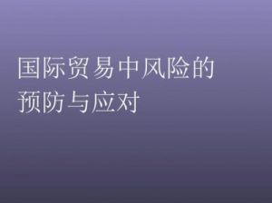 是什么国际贸易中的优势和风险是什么