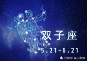 双子星座的魅力：揭秘他们最钟情的星座之谜