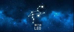 狮子座属于哪个星座类型？