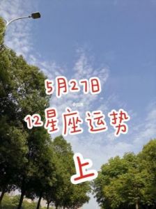 5月27日哪个星座