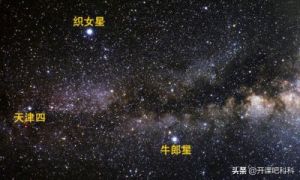 牛郎星属于哪个星座