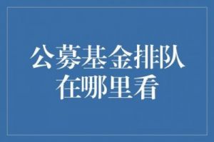 基金经理离职问题解析：哪些情况需留意？