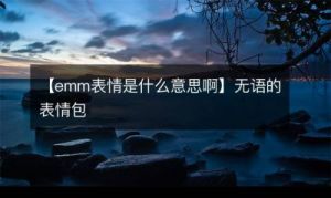 emm是什么意思 emm都检测什么