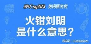 火钳刘明什么意思 成语火钳刘明