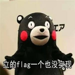 立flag什么意思 立flag表情包