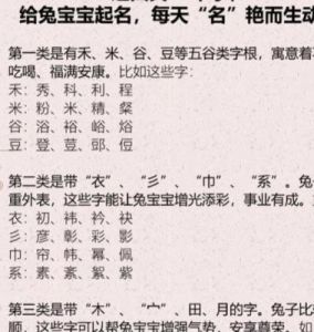 2023兔年男孩取名大全 取名字大全男孩