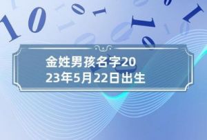 金姓男孩取名 起名字男孩2023免费