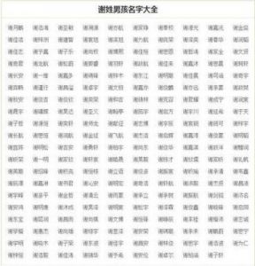 免费自动取名100个 让人瞬间记住的名字