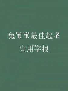 男兔宝宝取名大全 男兔宝宝取名字最佳字