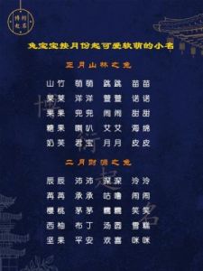 2023兔宝宝取名字大全 兔宝宝取名字