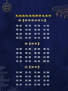 兔宝宝男孩取名 男兔宝宝名字寓意好字