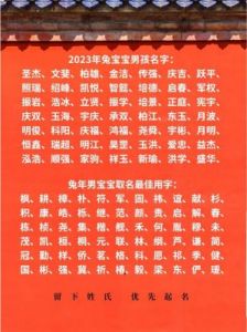 2023兔宝宝男孩取名 兔宝宝取名禁忌