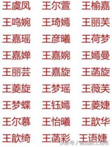 2023兔年女宝宝取名 王姓男孩名字大全