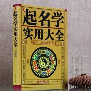 沛字取名的寓意 易经取名