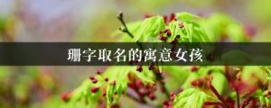 女人珊字取名的寓意 珊字取名女孩名字