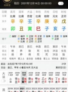 己五行属什么 八字排盘算命