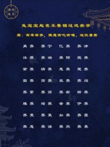 免费自动取名测分 兔宝宝取名字大全