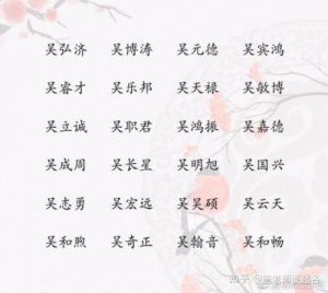 吴姓有灵气女孩名字 吴姓男孩名字