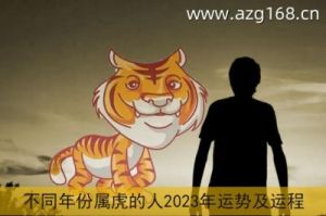  2023属虎流年运势及事业财运分析