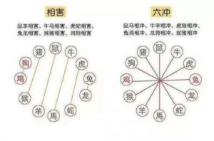  详解十二生肖的相生相克关系