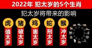  2024年十二生肖犯太岁情况及化解方法