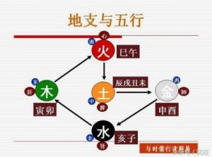  天干地支与五行的关系