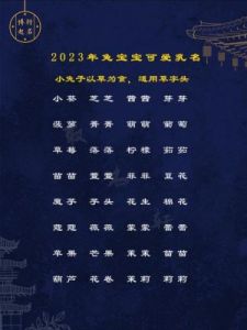 兔宝宝取名大全 2023兔宝取名