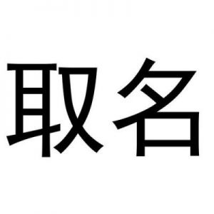 公司名字免费取名 注册公司名字怎么取名