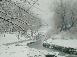  “风雪压境，河南景区暂停开放”