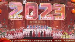  2024年 改为 春节联欢晚会