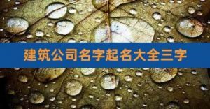 简单大气建筑公司旺生意的名字