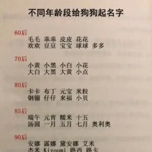 宠物名字大全：高雅有寓意，好听不俗气