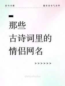 情侣网名可做CP名的诗句