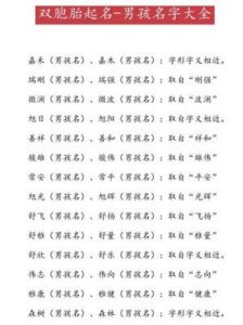 双胞胎男孩起名：洋气上口且独特的男生名字