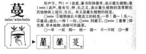 了解蔓字的五行属性及人名中蕴含的寓意