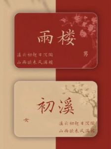 龙凤胎起名指南：如何打造惊艳四座的宝宝名字