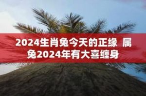 2024年属兔男孩最吉利的名字