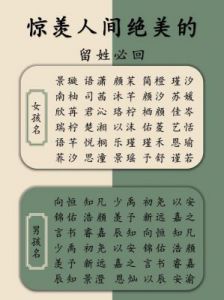 兔宝宝女孩名字大全：洋气好听的女宝宝名字