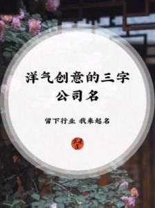 三个字公司名或三字企业名称