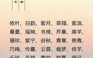 2024属兔女孩取名：精选2024兔年好听的名字