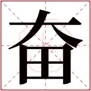 五行属性与男宝宝名字寓意：揭秘“奋”字的奥秘