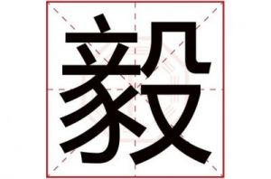 了解毅字五行的属性以及其在男孩名字中的特殊含义