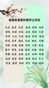 免费企业命名服务，寓意深刻的公司名字推荐