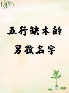 为男孩挑选大气缺木的名字，展现帅气与俊朗气质